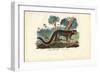 Mouse Lemur, 1863-79-Raimundo Petraroja-Framed Giclee Print