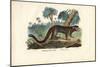 Mouse Lemur, 1863-79-Raimundo Petraroja-Mounted Giclee Print