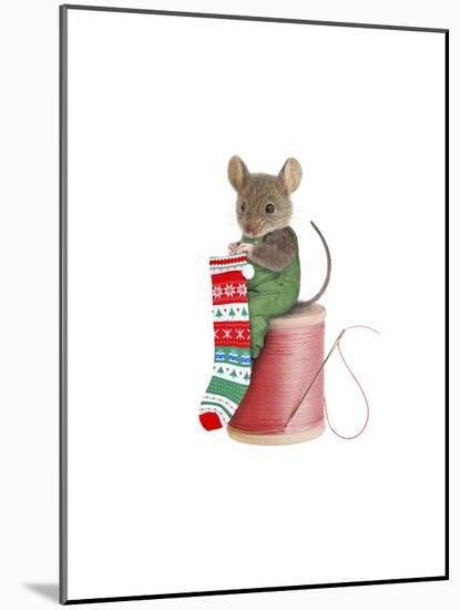 Mouse on Spool-J Hovenstine Studios-Mounted Giclee Print