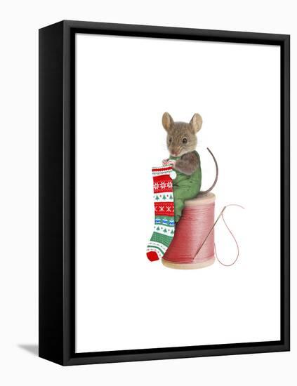 Mouse on Spool-J Hovenstine Studios-Framed Stretched Canvas