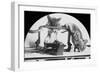 Mouse or Rat Trap?, Late 19th or Early 20th Century-null-Framed Photographic Print