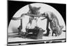 Mouse or Rat Trap?, Late 19th or Early 20th Century-null-Mounted Photographic Print