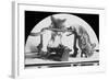 Mouse or Rat Trap?, Late 19th or Early 20th Century-null-Framed Photographic Print