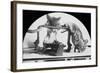 Mouse or Rat Trap?, Late 19th or Early 20th Century-null-Framed Photographic Print