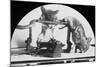 Mouse or Rat Trap?, Late 19th or Early 20th Century-null-Mounted Photographic Print