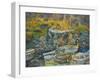 Mousehole harbour, resting boats-Cosima Duggal-Framed Giclee Print