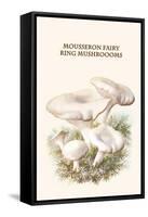 Mousseron Fairy Ring Mushroooms-Edmund Michael-Framed Stretched Canvas