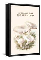 Mousseron Fairy Ring Mushroooms-Edmund Michael-Framed Stretched Canvas