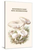 Mousseron Fairy Ring Mushroooms-Edmund Michael-Stretched Canvas