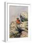 Moussier's Redstart-Carl Donner-Framed Giclee Print