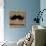 Moustache-Lisa Ven Vertloh-Art Print displayed on a wall