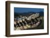 Mouth of an American Crocodile-W. Perry Conway-Framed Premium Photographic Print