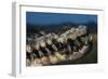 Mouth of an American Crocodile-W. Perry Conway-Framed Photographic Print