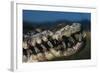 Mouth of an American Crocodile-W. Perry Conway-Framed Photographic Print