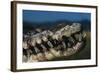 Mouth of an American Crocodile-W. Perry Conway-Framed Photographic Print