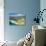 Mouth of Noosa River, Noosa Heads, Sunshine Coast, Queensland, Australia-David Wall-Stretched Canvas displayed on a wall