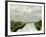 Mouth of Ombrone River-Tito Conti-Framed Giclee Print