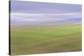 Moved Landscape 6023-Rica Belna-Stretched Canvas