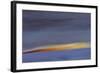 Moved Landscape 6034-Rica Belna-Framed Giclee Print