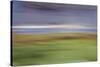 Moved Landscape 6035-Rica Belna-Stretched Canvas