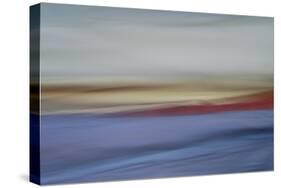 Moved Landscape 6036-Rica Belna-Stretched Canvas