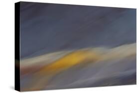 Moved Landscape 6039-Rica Belna-Stretched Canvas