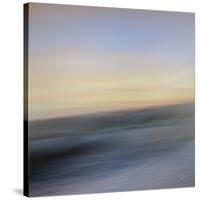 Moved Landscape 6044-Rica Belna-Stretched Canvas