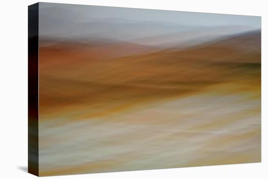 Moved Landscape 6478-Rica Belna-Stretched Canvas