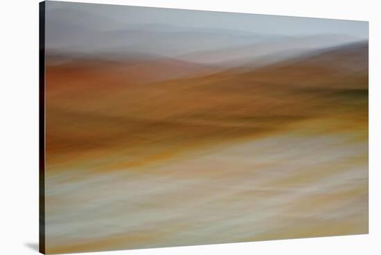 Moved Landscape 6478-Rica Belna-Stretched Canvas