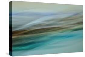 Moved Landscape 6479-Rica Belna-Stretched Canvas