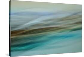 Moved Landscape 6479-Rica Belna-Stretched Canvas