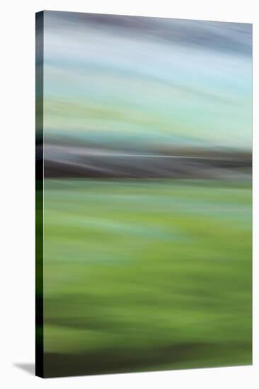 Moved Landscape 6481-Rica Belna-Stretched Canvas