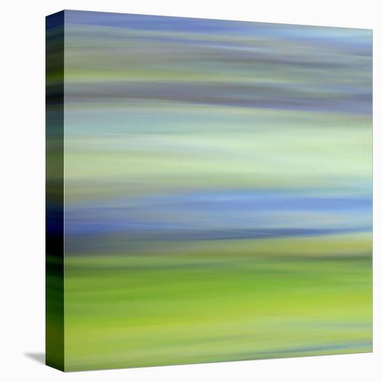 Moved Landscape 6482-Rica Belna-Stretched Canvas