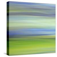 Moved Landscape 6482-Rica Belna-Stretched Canvas