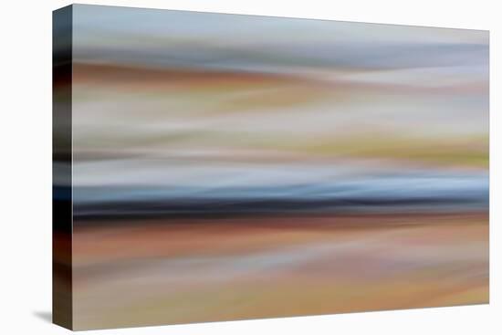 Moved Landscape 6483-Rica Belna-Stretched Canvas