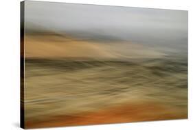 Moved Landscape 6483-Rica Belna-Stretched Canvas