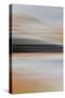 Moved Landscape 6485-Rica Belna-Stretched Canvas