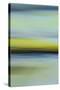 Moved Landscape 6487-Rica Belna-Stretched Canvas