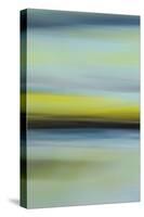 Moved Landscape 6487-Rica Belna-Stretched Canvas