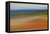 Moved Landscape 6490-Rica Belna-Framed Stretched Canvas