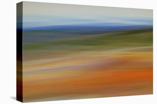 Moved Landscape 6490-Rica Belna-Stretched Canvas