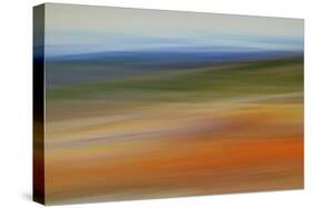 Moved Landscape 6490-Rica Belna-Stretched Canvas