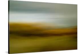 Moved Landscape 6490-Rica Belna-Stretched Canvas