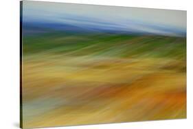 Moved Landscape 6491-Rica Belna-Stretched Canvas