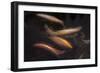 Movement 1-Moises Levy-Framed Photographic Print