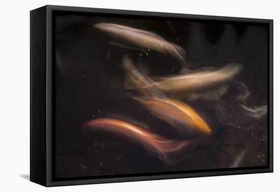 Movement 1-Moises Levy-Framed Stretched Canvas