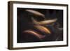 Movement 1-Moises Levy-Framed Premium Photographic Print