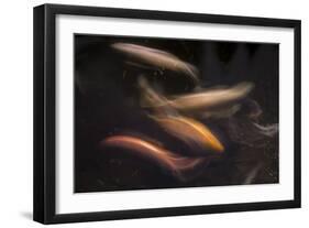 Movement 1-Moises Levy-Framed Premium Photographic Print