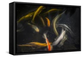 Movement 2-Moises Levy-Framed Stretched Canvas