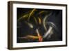 Movement 2-Moises Levy-Framed Photographic Print